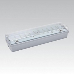 Svítidlo led nouzové CARLA 30 LED 3h DP IP65 910102000 NBB Bohemia